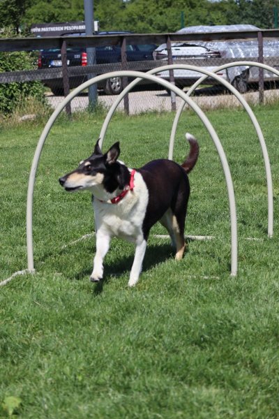 294449119_3259403417660101_508984602649997541_n