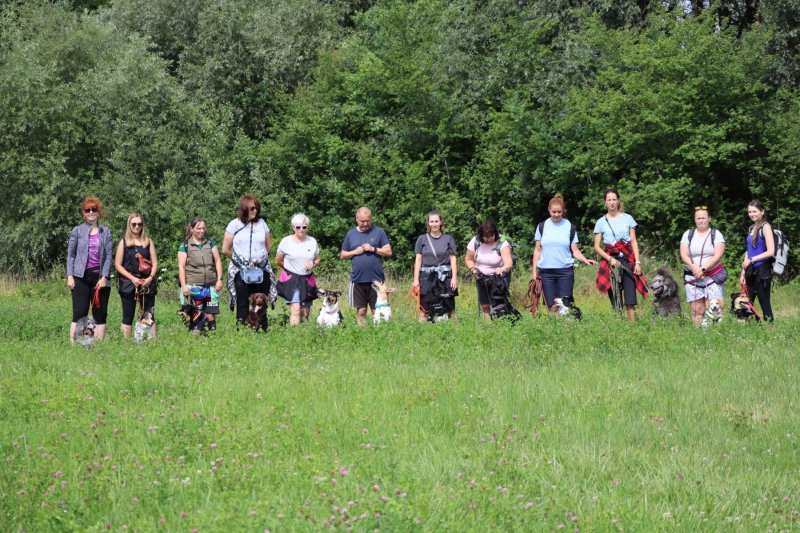 294840812_3259398564327253_306628457776032704_n