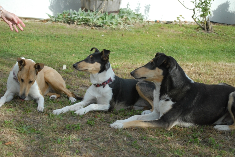 Adina, Bezinka, Falco (rodiče s dcerou)