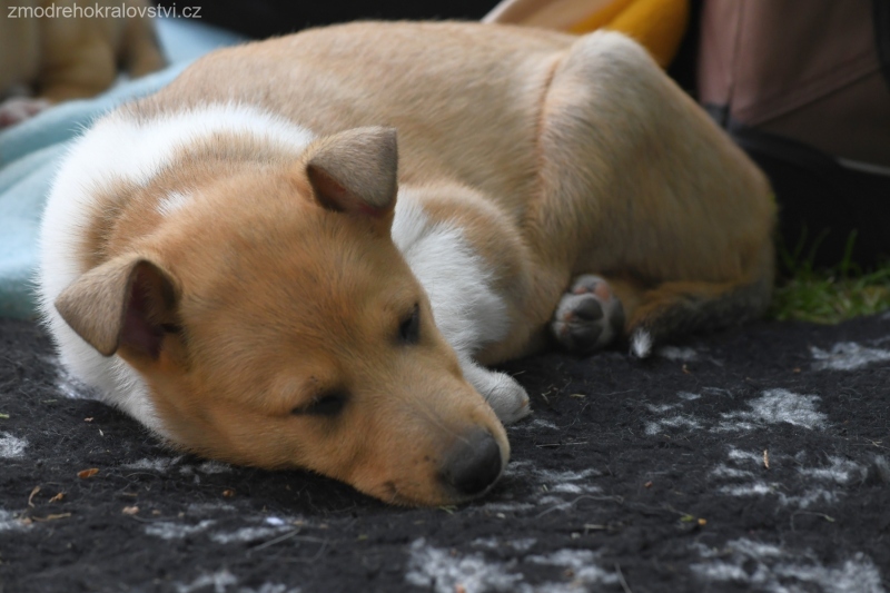 27.5.2023 - Vrh D a E