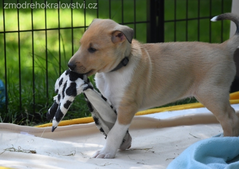 27.5.2023 - Vrh D a E