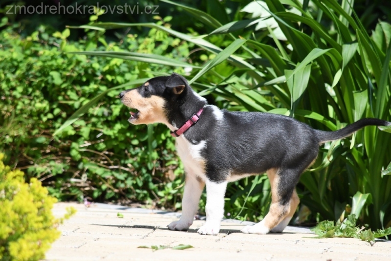 27.5.2023 - Vrh D a E