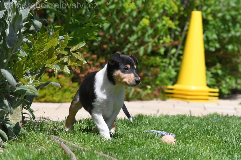 27.5.2023 - Vrh D a E