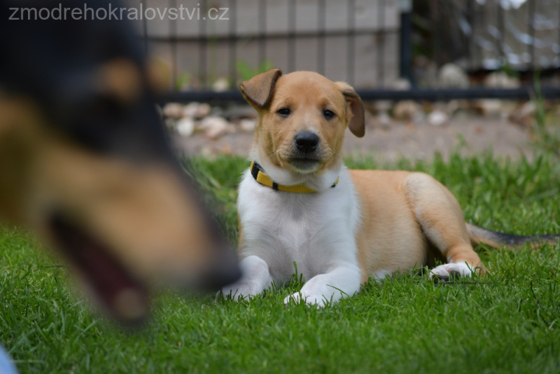 DSC_0190.-w-JPG