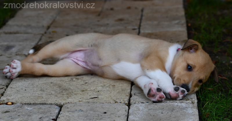 DSC_0197.-wuo-JPG