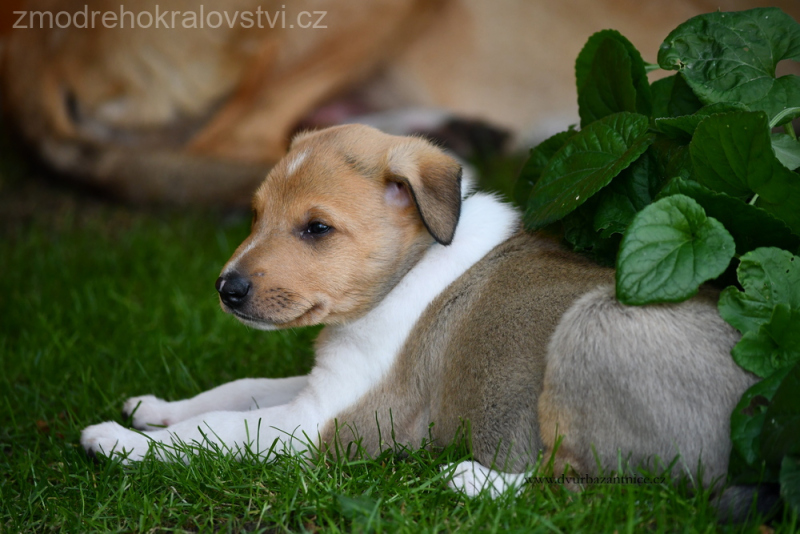 DSC_0214.-wJPG