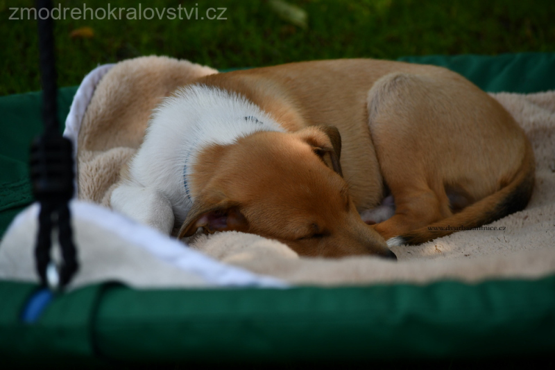 DSC_0221-w