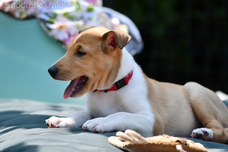 DSC_0229.-wJPG