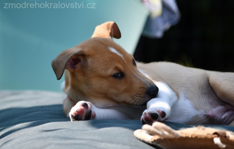 DSC_0233.-wo-JPG
