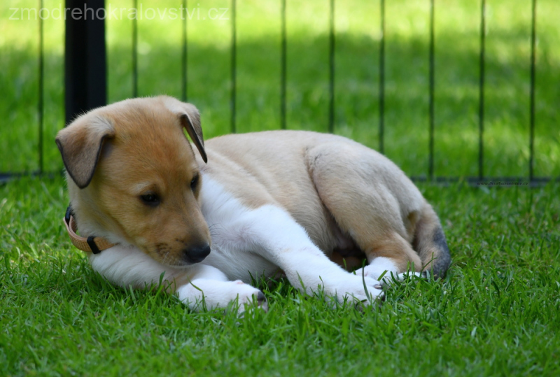 DSC_0241.-wo-JPG