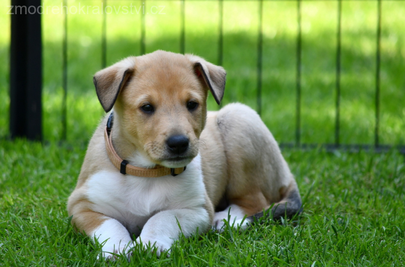 DSC_0243.-wo-JPG