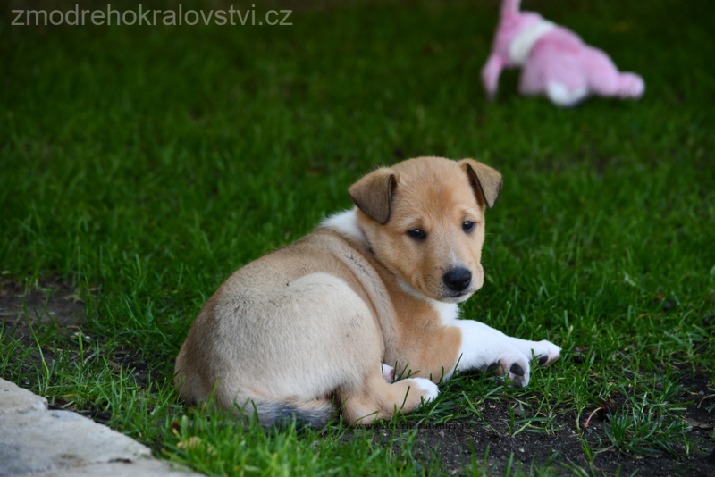 DSC_0245.-wJPG