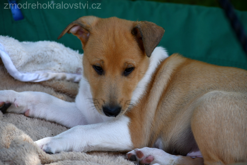 DSC_0247.-wJPG