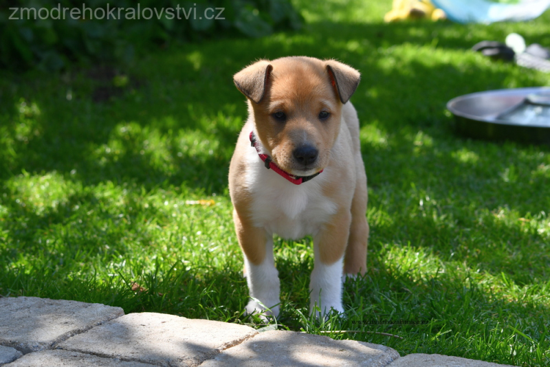 DSC_0251.-wJPG