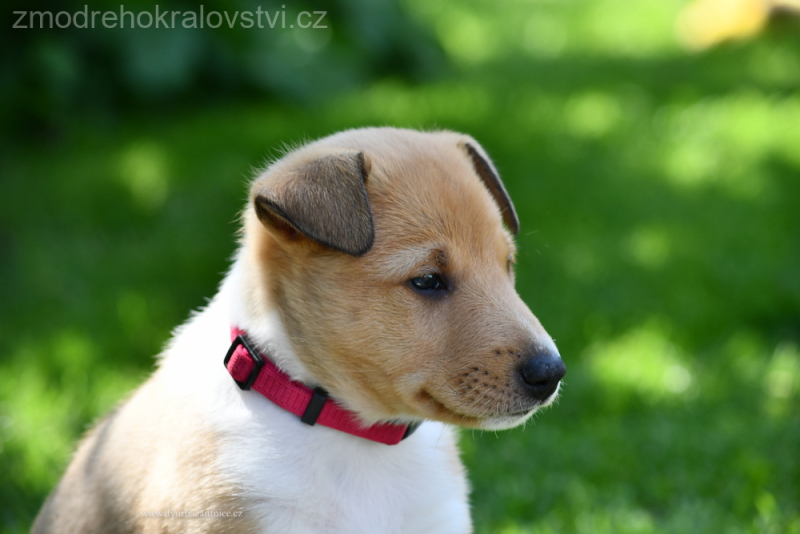DSC_0253.-wJPG