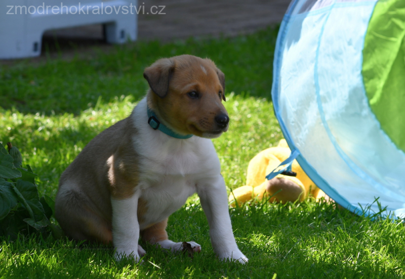 DSC_0255.-wo-JPG