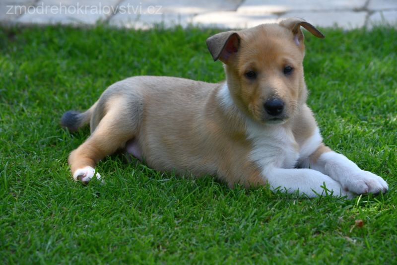 DSC_0259-wu