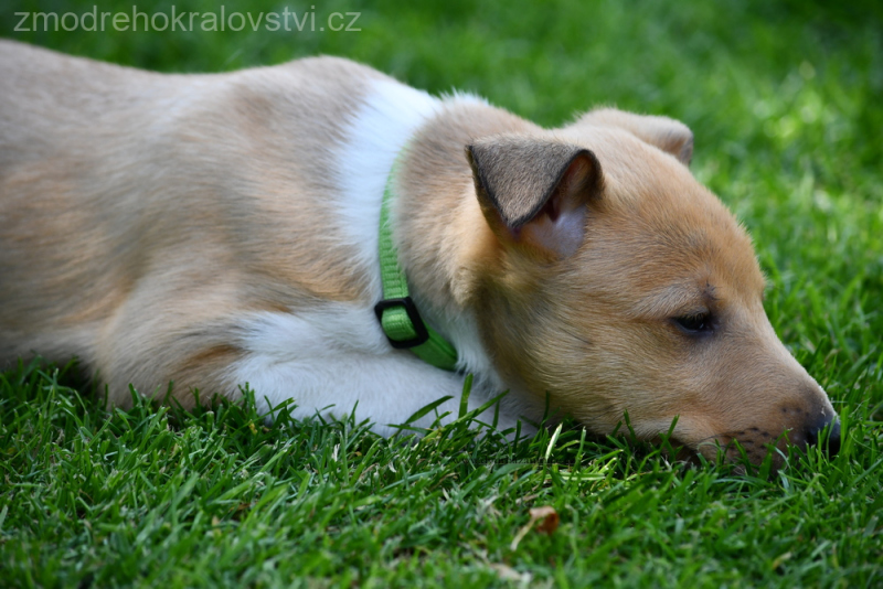 DSC_0261.wJPG_