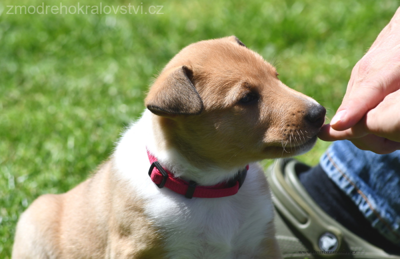 DSC_0265.-wJPG