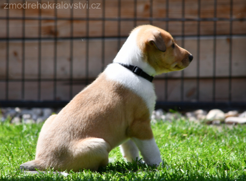 DSC_0267.-wo-JPG