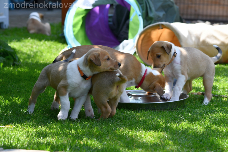DSC_0276.-w-JPG