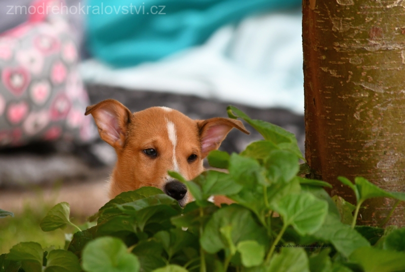 DSC_0294.-wo-JPG