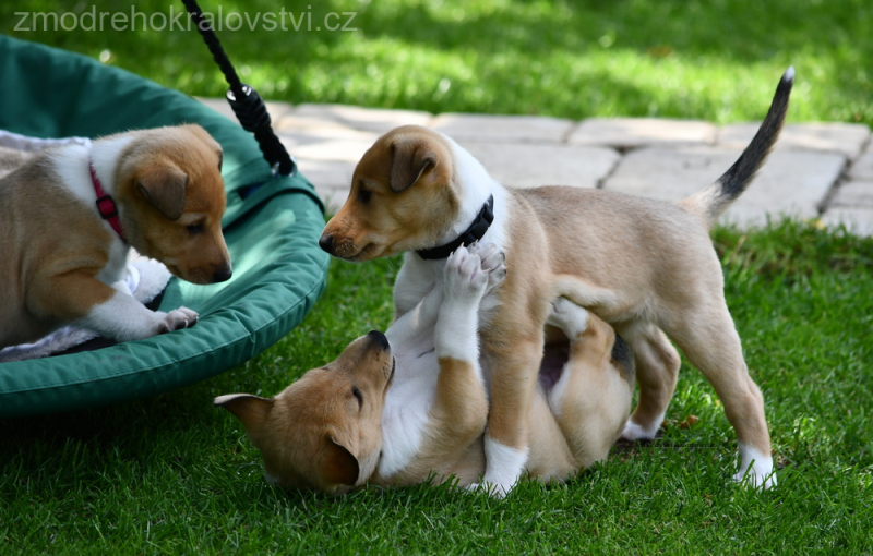 DSC_0317.-wo-JPG