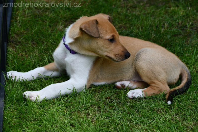 DSC_0322.-wJPG