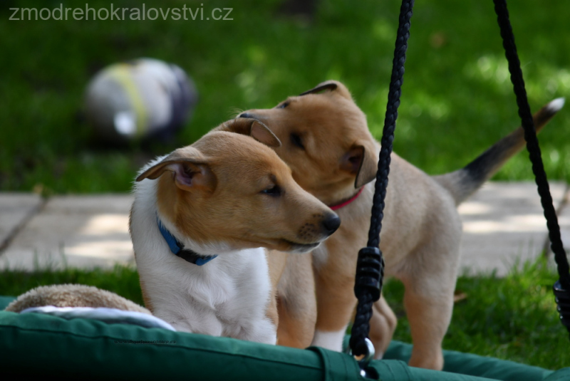 DSC_0323.wJPG_