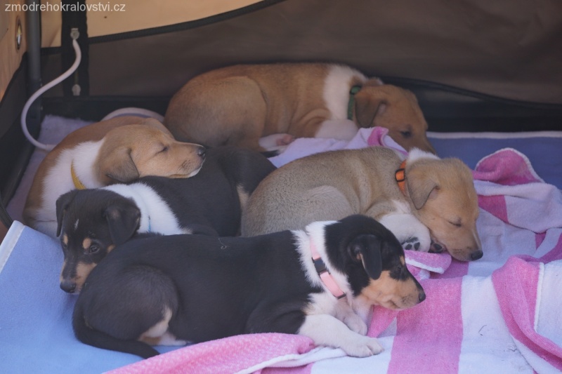 Vrh B - 5.4.2020 - pět týdnů