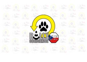 Naše holky byly skvělé v soutěži Rally Obedience na „Večerním Pesorally“