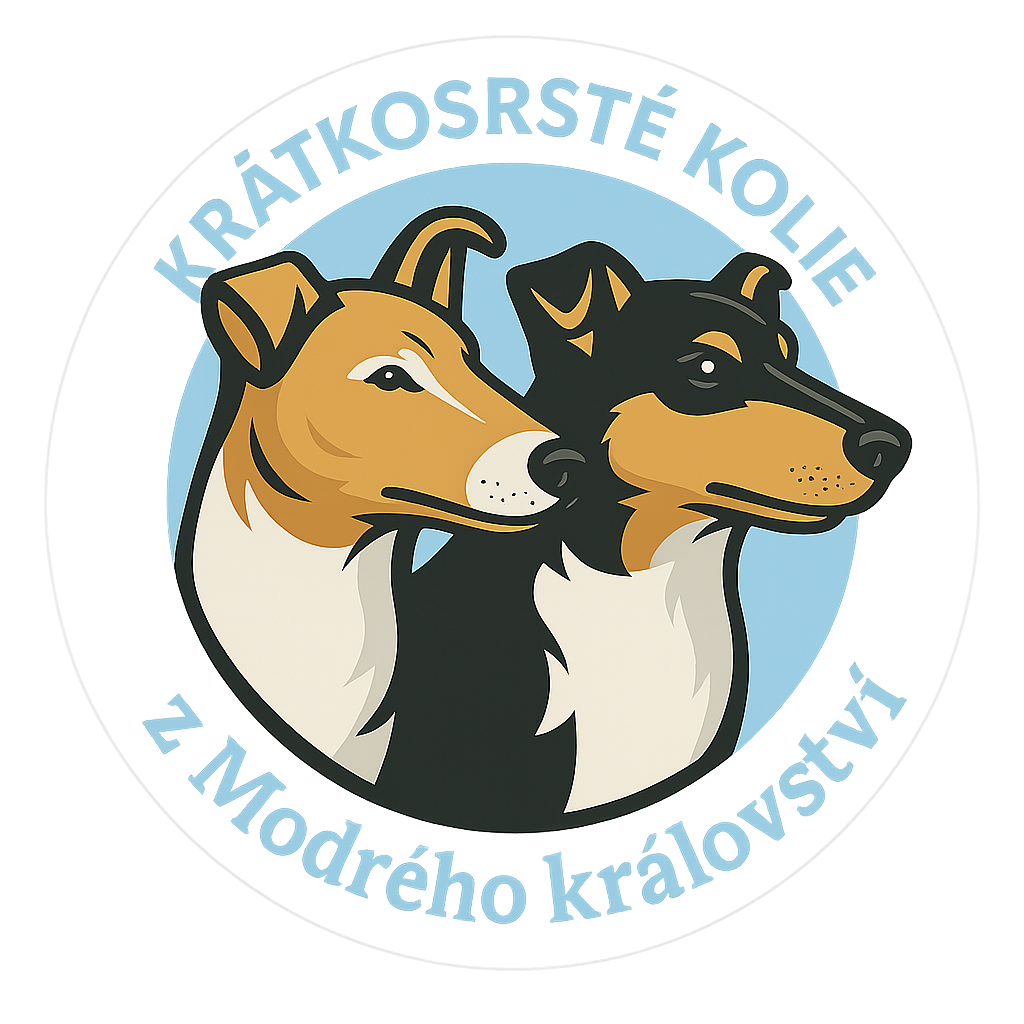 z Modrého království