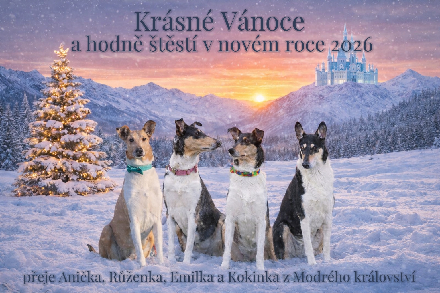 Přejeme všem krásné Vánoce a hodně štěstí v&nbsp;novém roce 2026