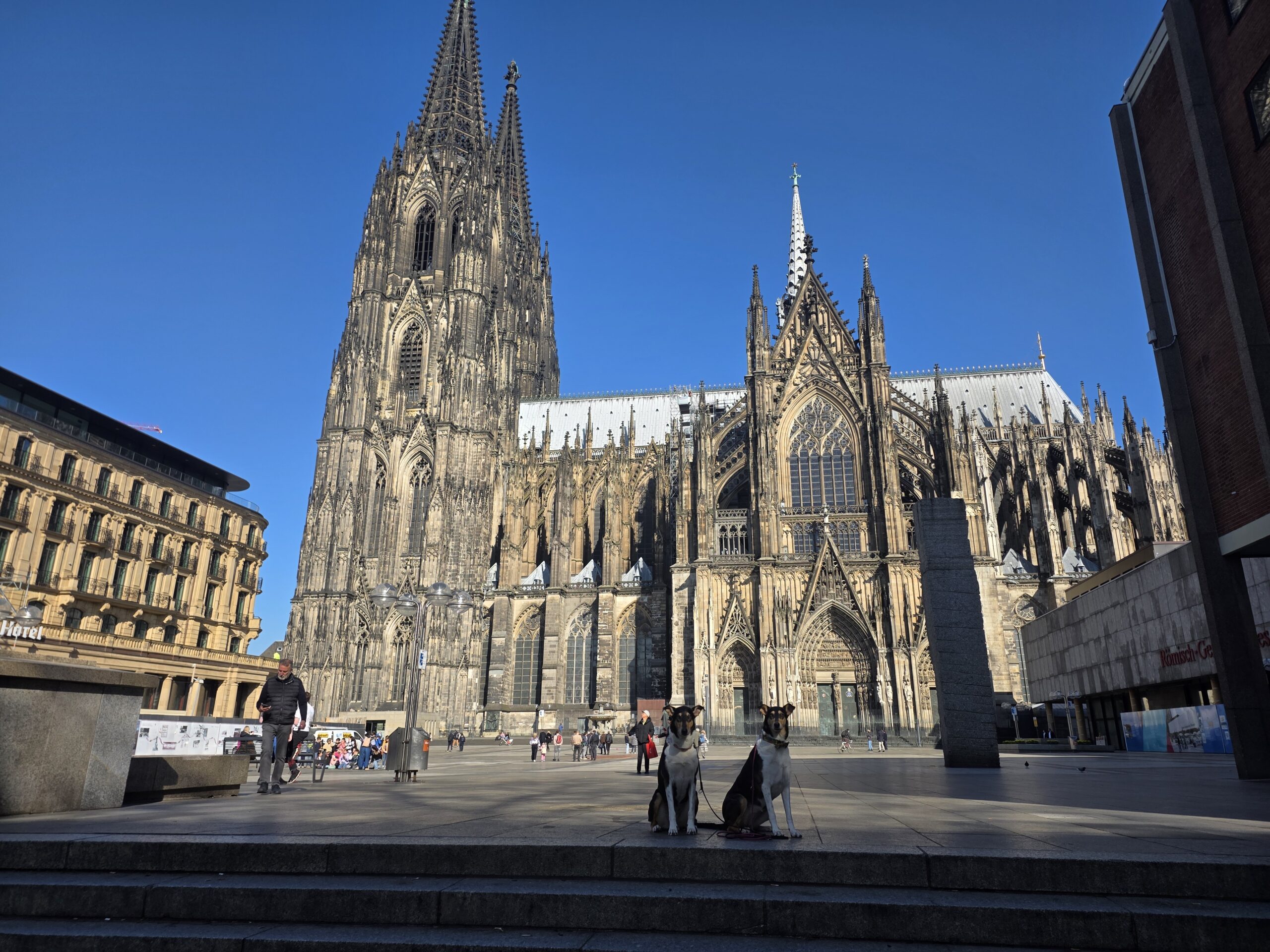 Emílek a Růženka si udělaly výlet do krásného města Köln