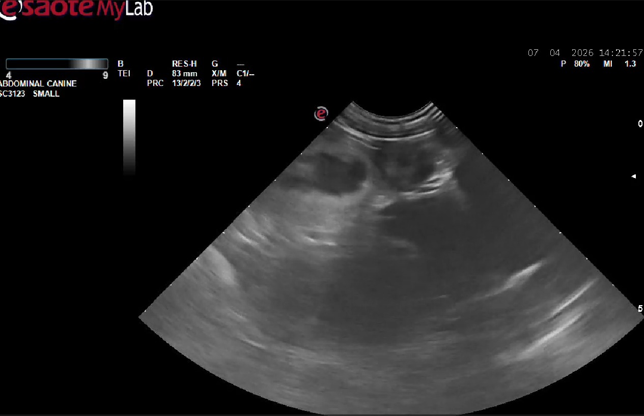 Růženka bude taky maminka!