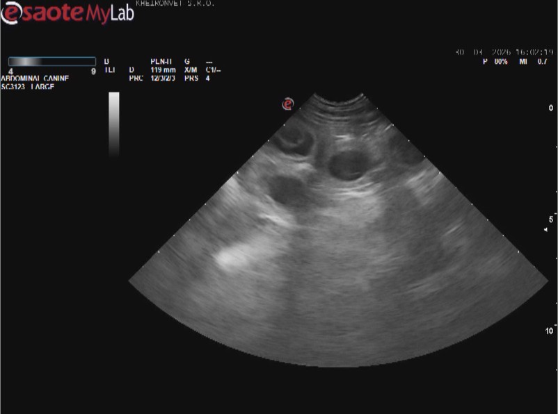 Emilka bude maminka!